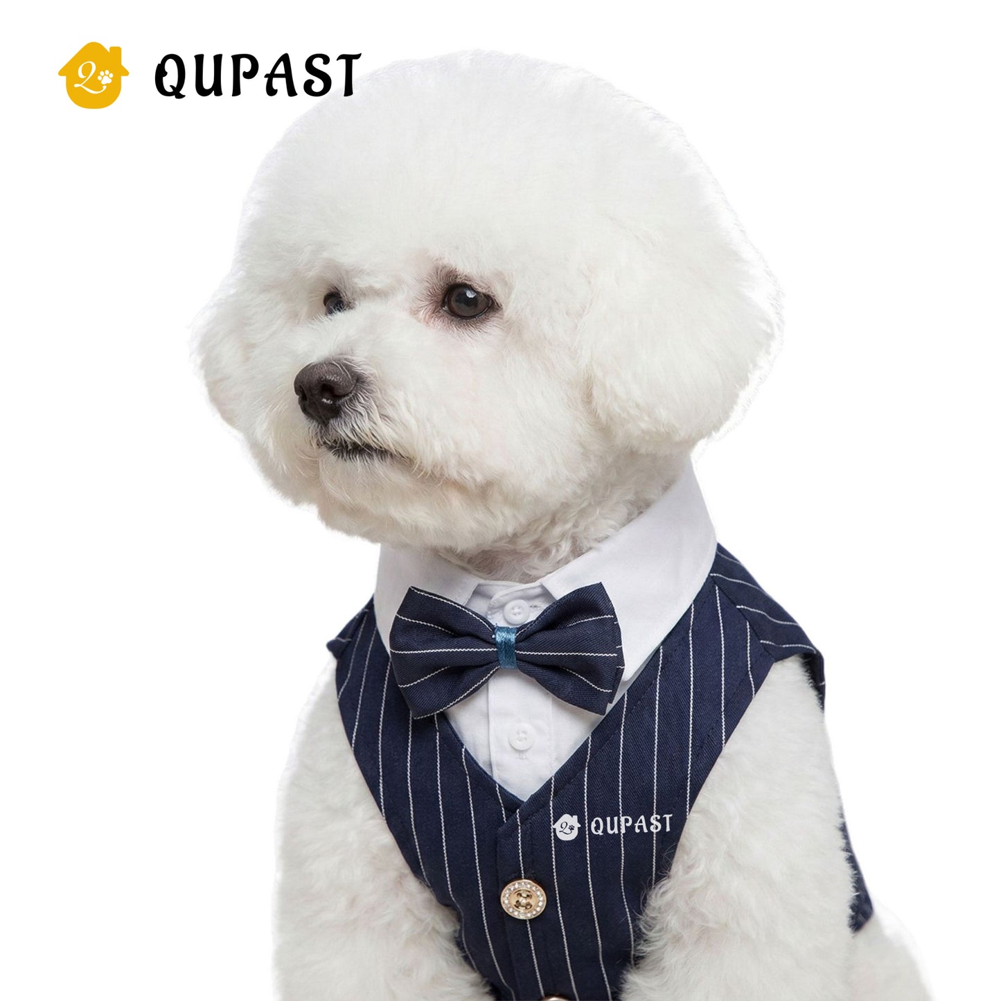 Spring Cat Pet Clothing: Suit, Formal Dress, Shirt, Vest