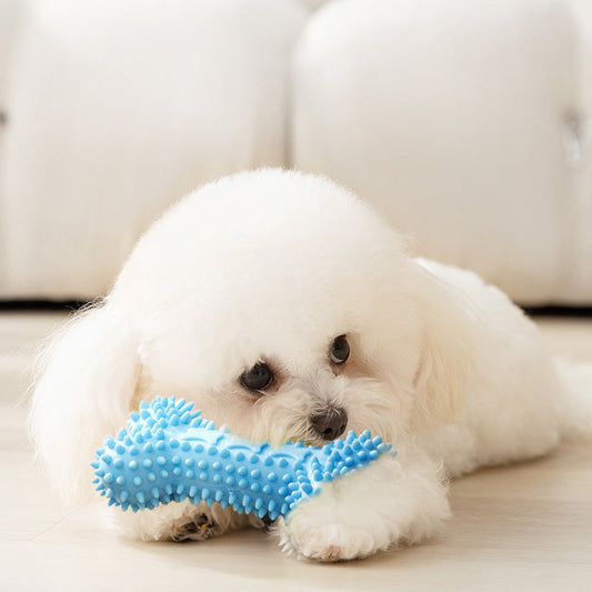 Puppy Teething Toys: Safe Chewing Fun for Your New Pup | QUPAST