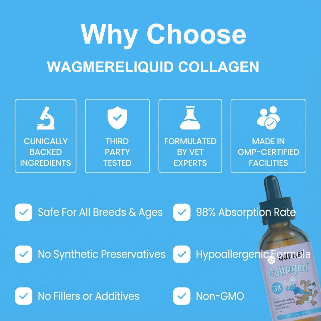 Qupast Premium Liquid Collagen