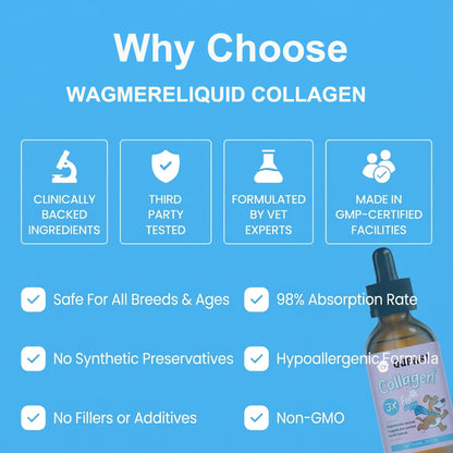 Qupast Premium Liquid Collagen