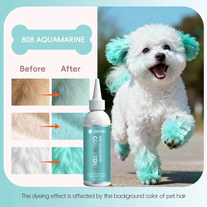 🐶🐾Let Your Pet Shine in Every Color of the Rainbow!🌈