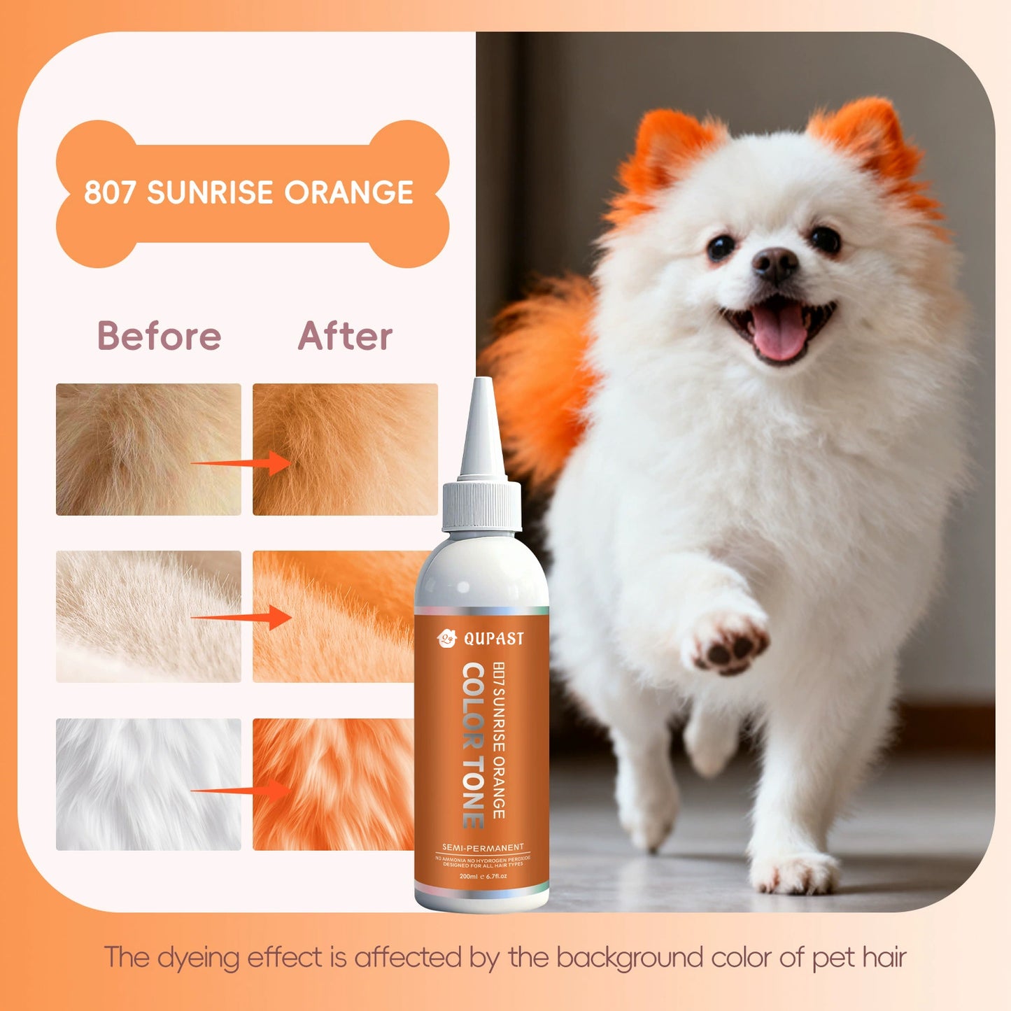 🐶🐾Let Your Pet Shine in Every Color of the Rainbow!🌈