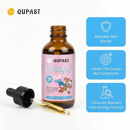 Qupast Premium Liquid Collagen