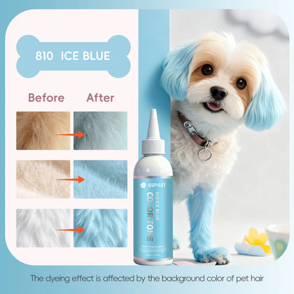 🐶🐾Let Your Pet Shine in Every Color of the Rainbow!🌈