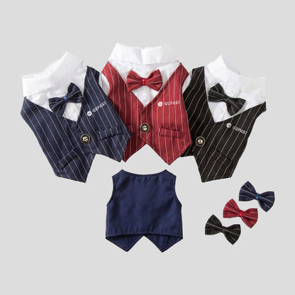 Spring Cat Pet Clothing: Suit, Formal Dress, Shirt, Vest