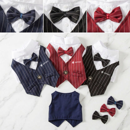 Spring Cat Pet Clothing: Suit, Formal Dress, Shirt, Vest