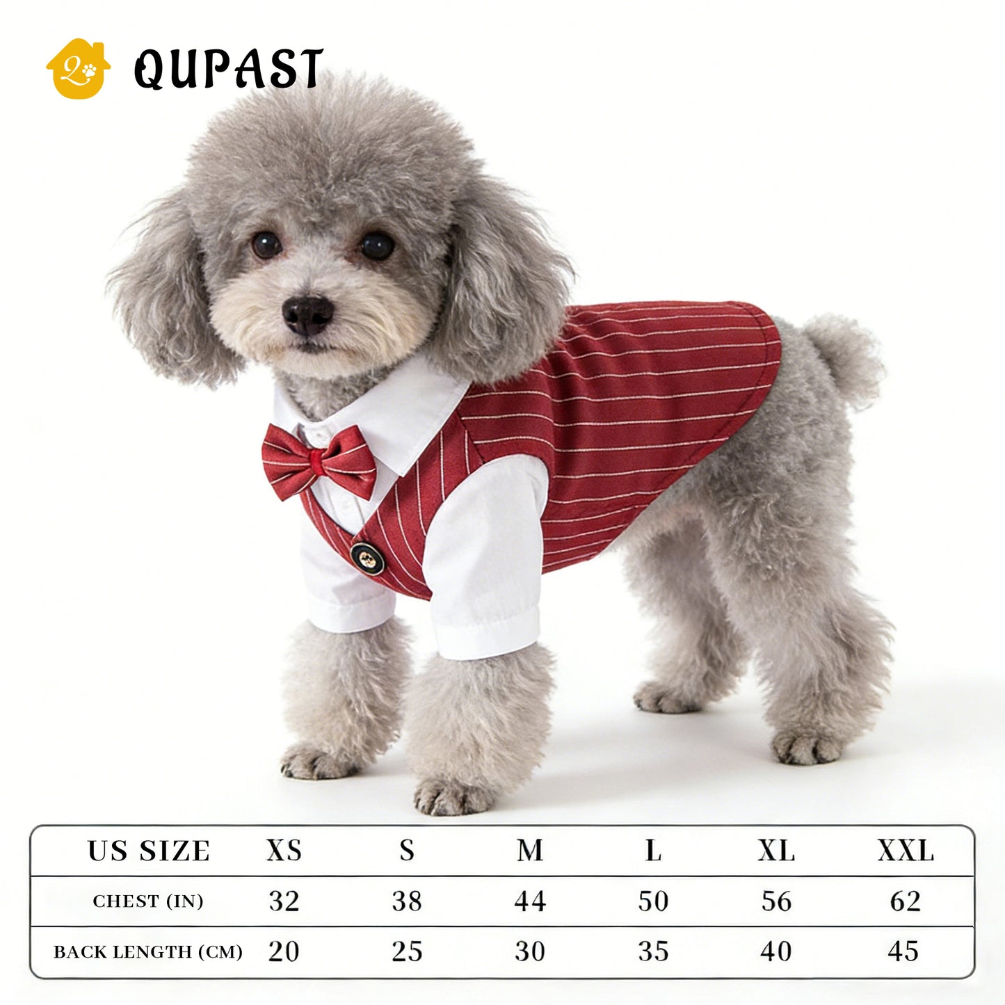 Spring Cat Pet Clothing: Suit, Formal Dress, Shirt, Vest