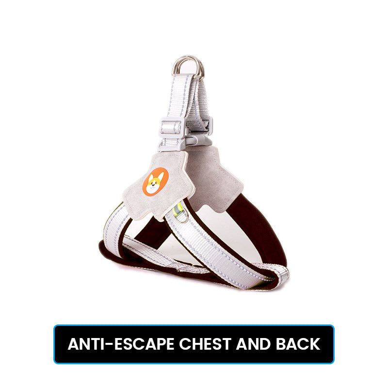 Anti-Escape Black [Single Back]