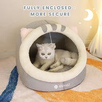 Soft gray cat + soft cushion