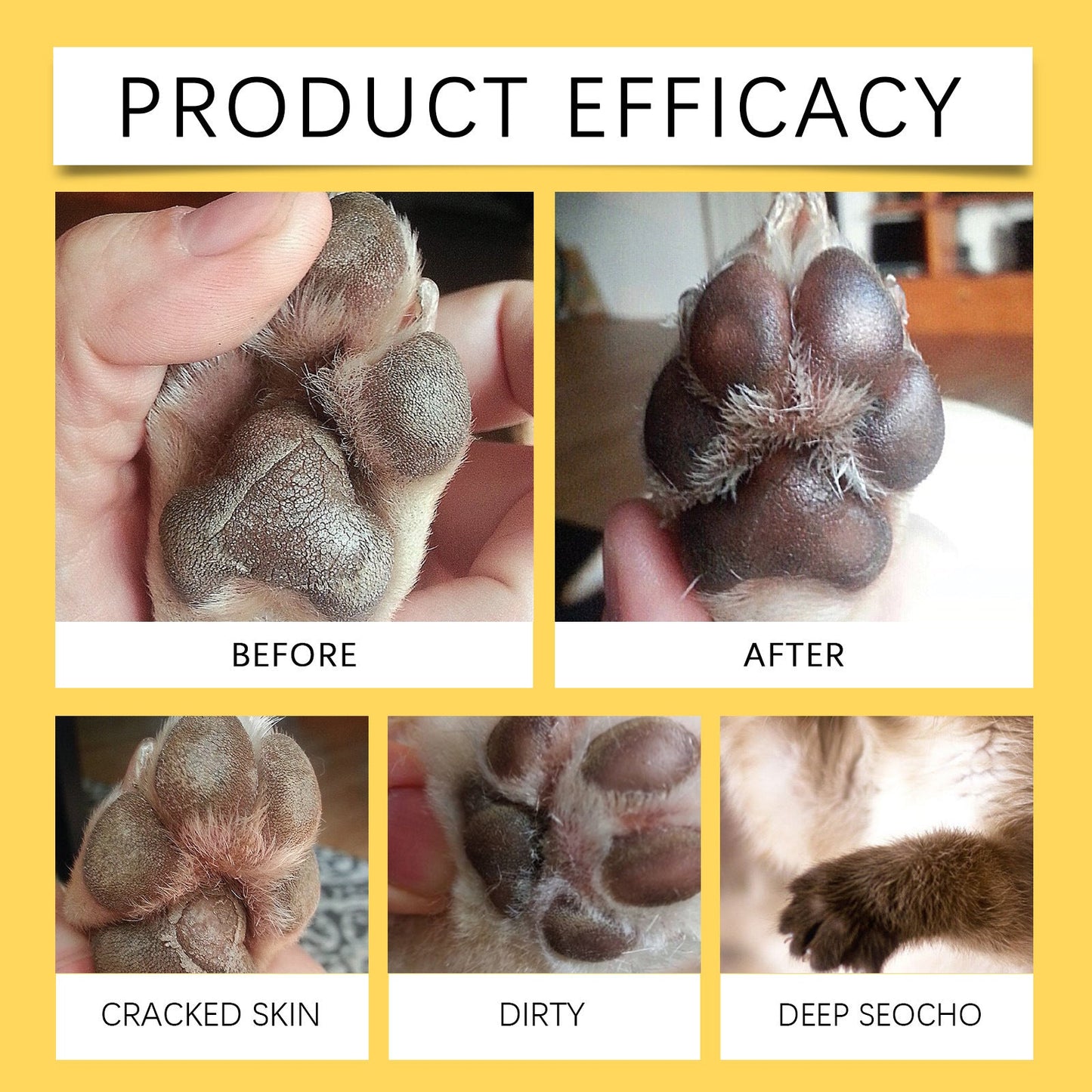 🐾 Dry Paw Rescue — Soothe, Protect & Moisturize Your Pet’s Paws ✨