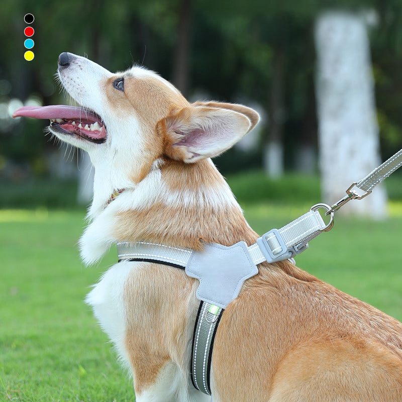Harness-style pet leash with chest and back strap