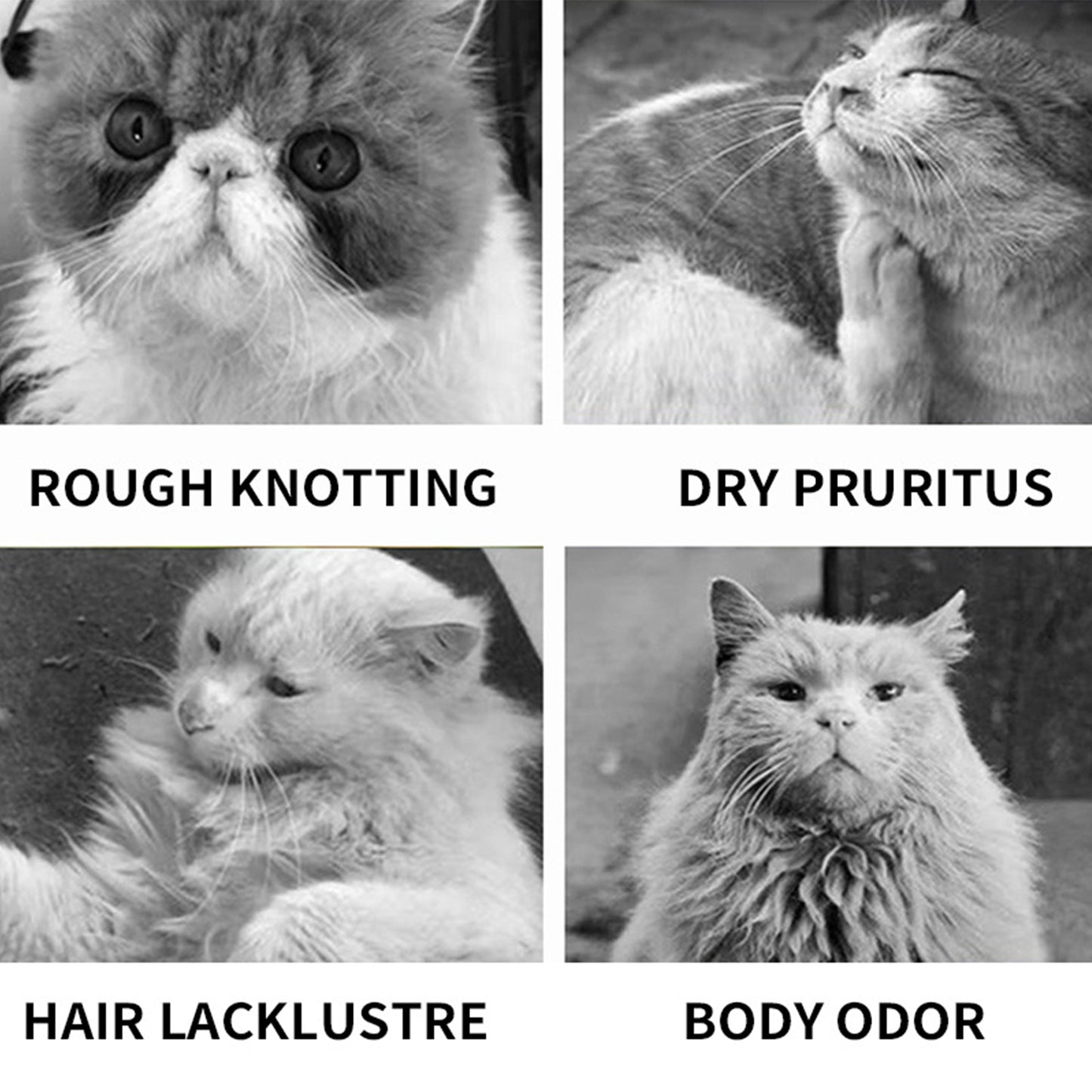500ml Pet Cat and Dog Shampoo, Fresh and Safe Scent