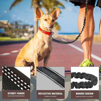 Elastic Dog Leash with Thickened Handle