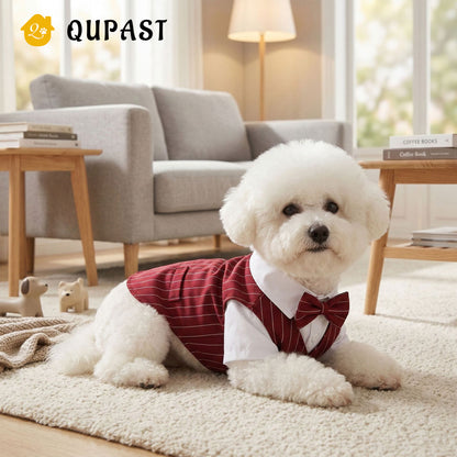 Spring Cat Pet Clothing: Suit, Formal Dress, Shirt, Vest