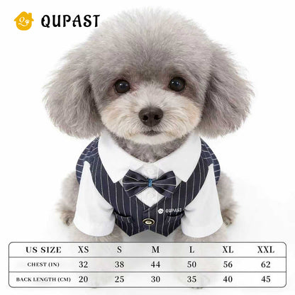 Spring Cat Pet Clothing: Suit, Formal Dress, Shirt, Vest