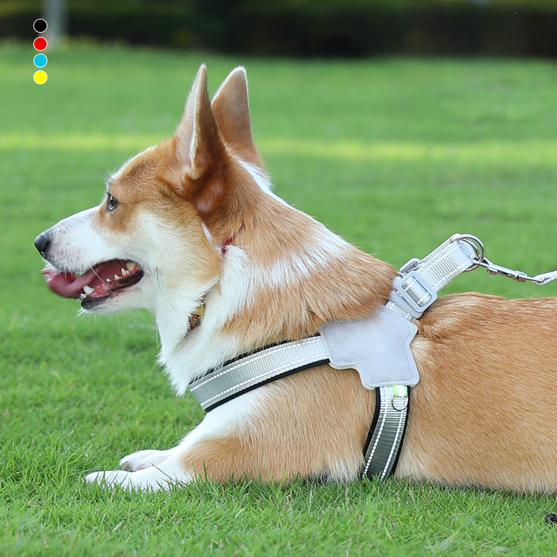 Harness-style pet leash with chest and back strap