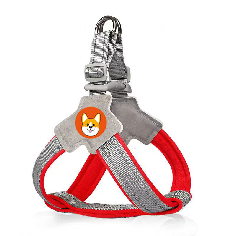 Harness-style pet leash with chest and back strap