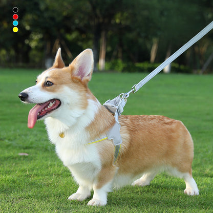 Harness-style pet leash with chest and back strap