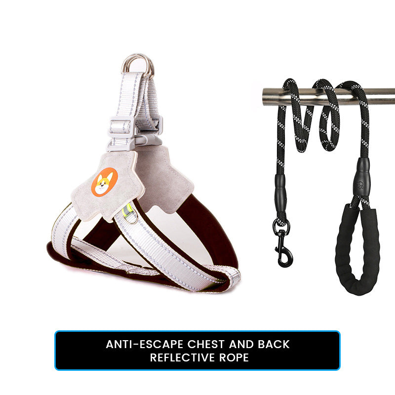 Harness-style pet leash with chest and back strap