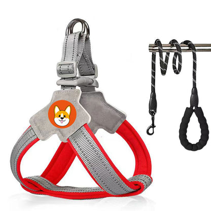 Harness-style pet leash with chest and back strap