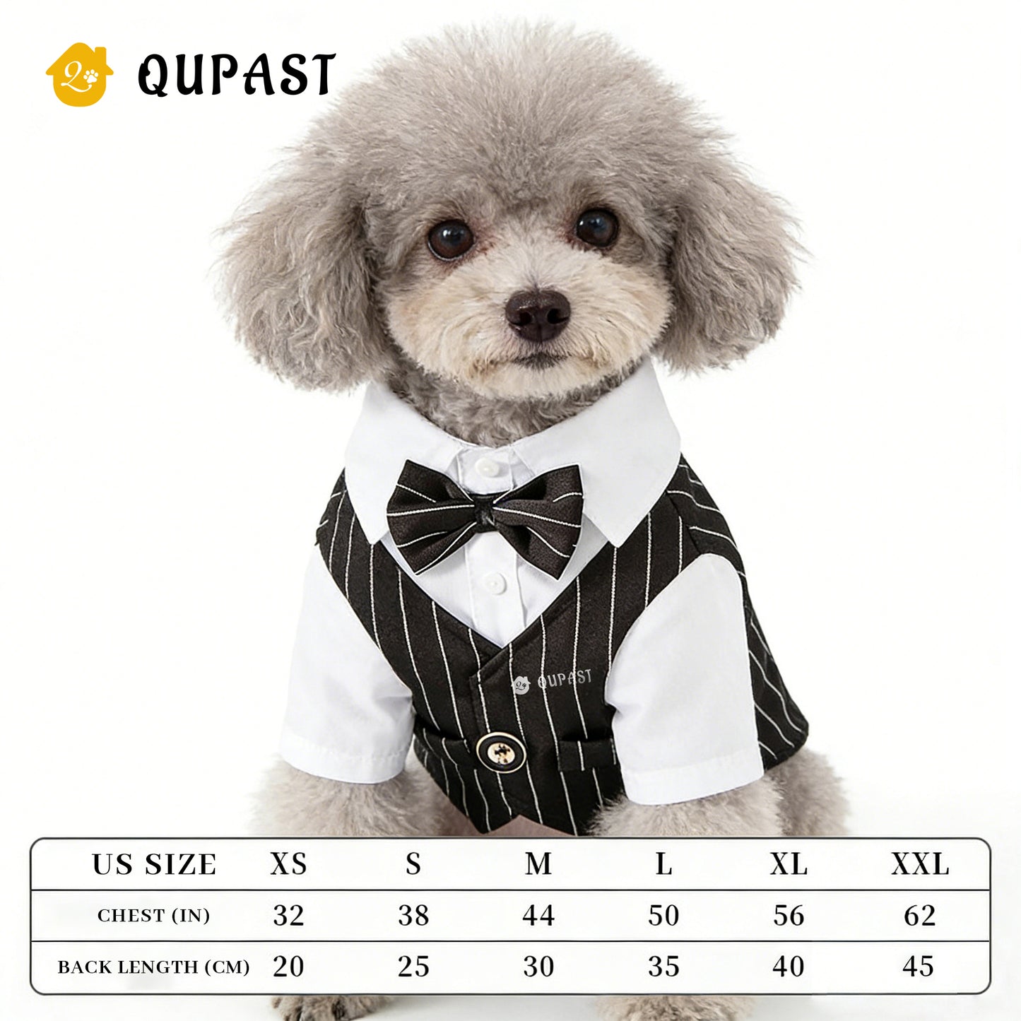 Spring Cat Pet Clothing: Suit, Formal Dress, Shirt, Vest
