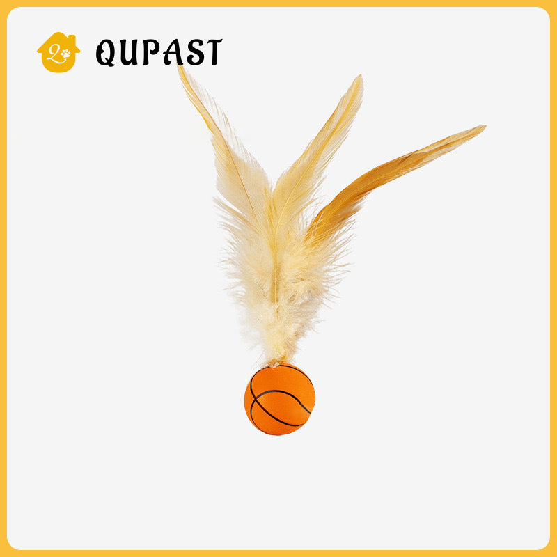 Cat basketball badminton 3