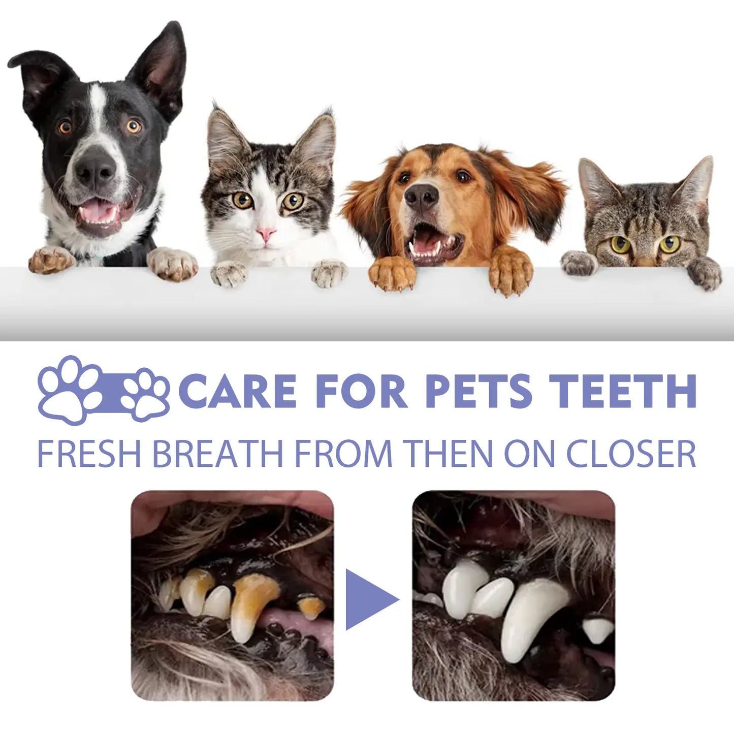 No-Brushing Oral Care Spray for Dogs & Cats