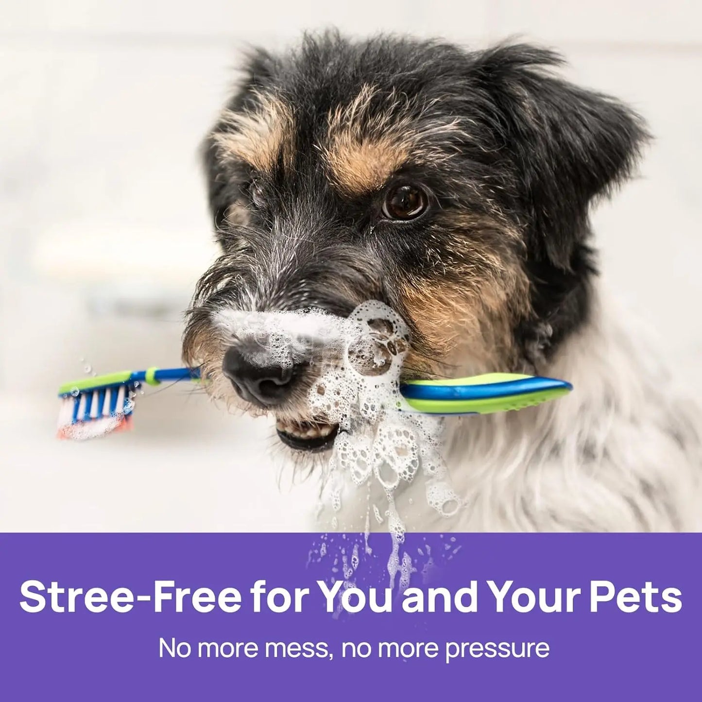No-Brushing Oral Care Spray for Dogs & Cats
