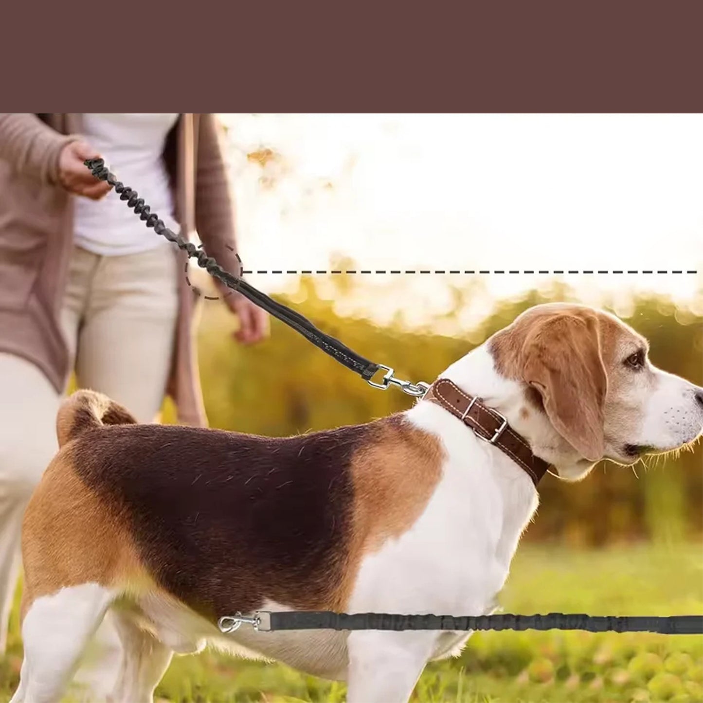 Elastic Dog Leash with Thickened Handle