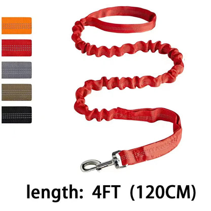 Elastic Dog Leash with Thickened Handle