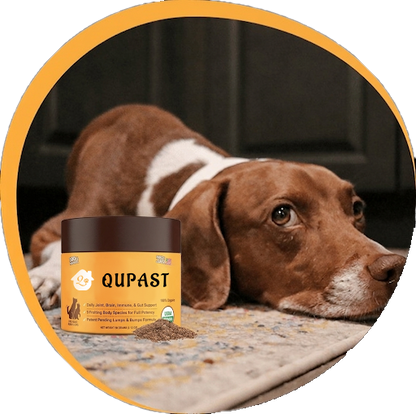 The Supplement For Dogs With Lumps & Bumps Limited Time: Give Your Dog Extra Care Today ⏳🐶.